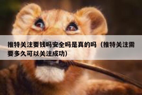 推特关注要钱吗安全吗是真的吗(推特关注需要多久可以关注成功) 第1张 推特关注要钱吗安全吗是真的吗(推特关注需要多久可以关注成功) 第1张