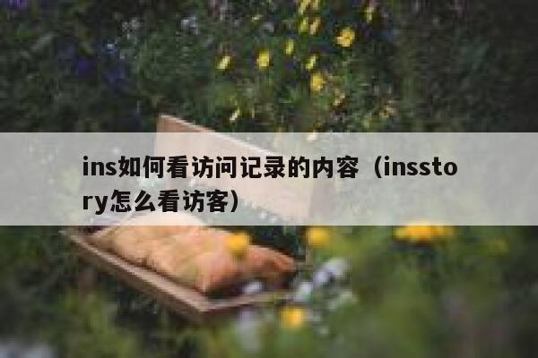 ins如何看访问记录的内容(insstory怎么看访客) 第1张 ins如何看访问记录的内容(insstory怎么看访客) 第1张