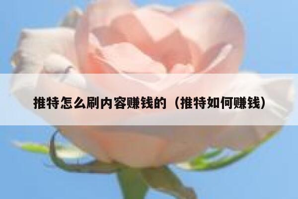 推特怎么刷内容赚钱的(推特如何赚钱) 第1张 推特怎么刷内容赚钱的(推特如何赚钱) 第1张