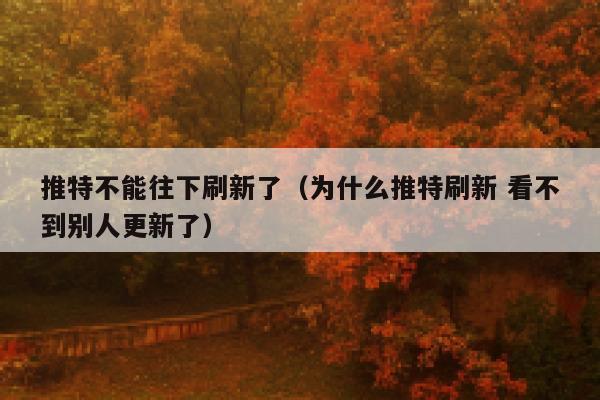 推特不能往下刷新了(为什么推特刷新 看不到别人更新了) 第1张 推特不能往下刷新了(为什么推特刷新 看不到别人更新了) 第1张
