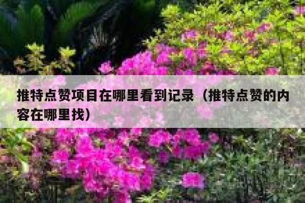 推特点赞项目在哪里看到记录(推特点赞的内容在哪里找) 第1张 推特点赞项目在哪里看到记录(推特点赞的内容在哪里找) 第1张