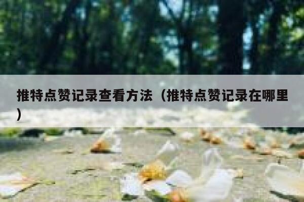 推特点赞记录查看方法(推特点赞记录在哪里) 第1张 推特点赞记录查看方法(推特点赞记录在哪里) 第1张