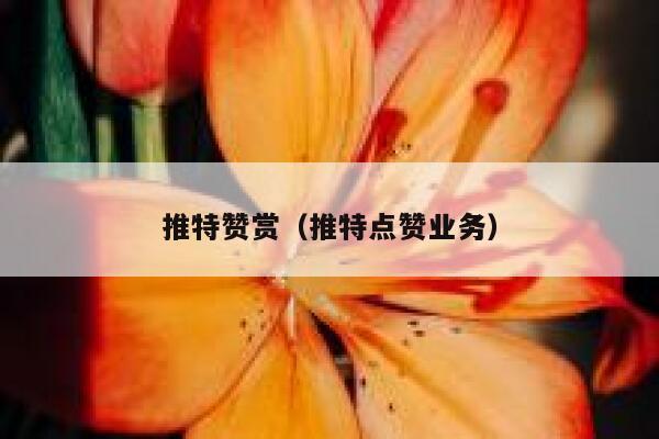 推特赞赏(推特点赞业务) 第1张 推特赞赏(推特点赞业务) 第1张