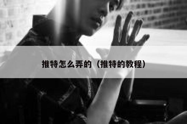 推特怎么弄的(推特的教程) 第1张 推特怎么弄的(推特的教程) 第1张