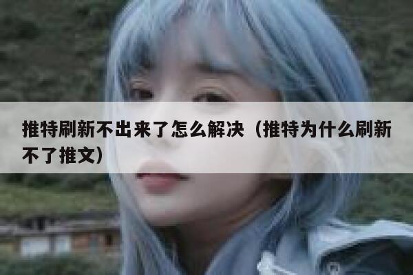 推特刷新不出来了怎么解决（推特为什么刷新不了推文） 第1张