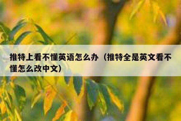 推特上看不懂英语怎么办（推特全是英文看不懂怎么改中文） 第1张