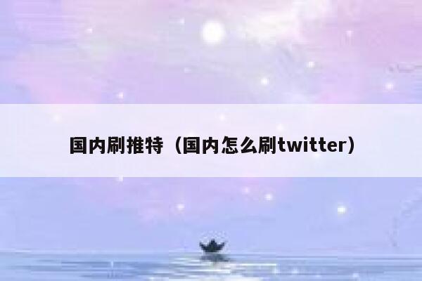 国内刷推特（国内怎么刷twitter） 第1张