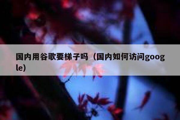 国内用谷歌要梯子吗(国内如何访问google) 第1张 国内用谷歌要梯子吗(国内如何访问google) 第1张