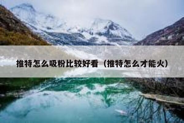 推特怎么吸粉比较好看（推特怎么才能火） 第1张