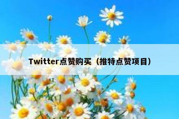 Twitter点赞购买(推特点赞项目) 第1张 Twitter点赞购买(推特点赞项目) 第1张