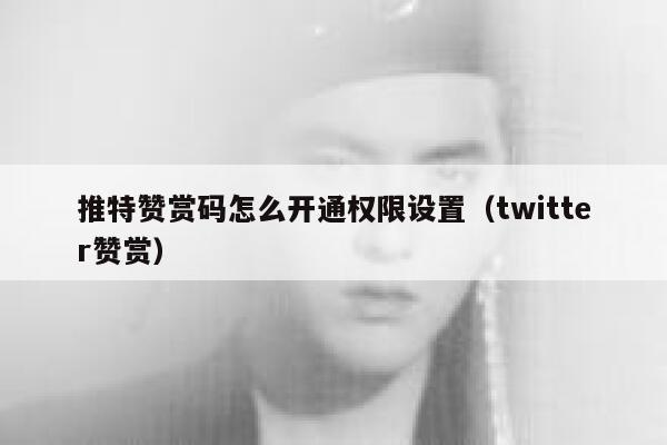 推特赞赏码怎么开通权限设置（twitter赞赏） 第1张