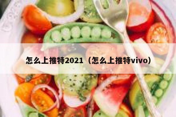 怎么上推特2021（怎么上推特vivo） 第1张