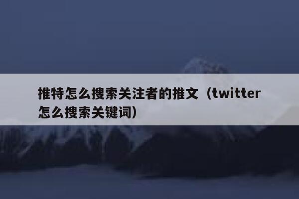推特怎么搜索关注者的推文（twitter怎么搜索关键词） 第1张