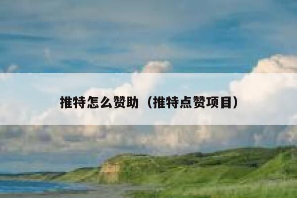 推特怎么赞助（推特点赞项目） 第1张