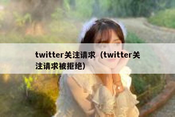 twitter关注请求（twitter关注请求被拒绝） 第1张