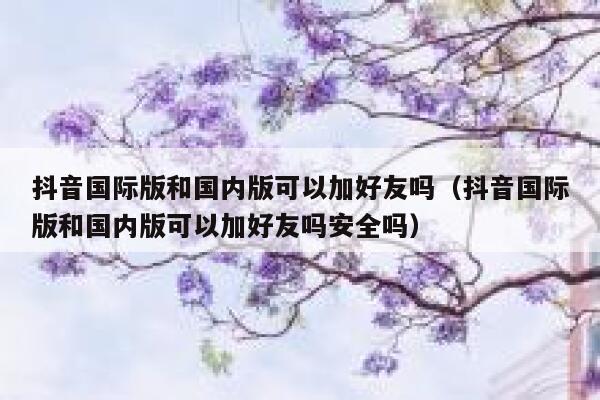 抖音国际版和国内版可以加好友吗（抖音国际版和国内版可以加好友吗安全吗） 第1张