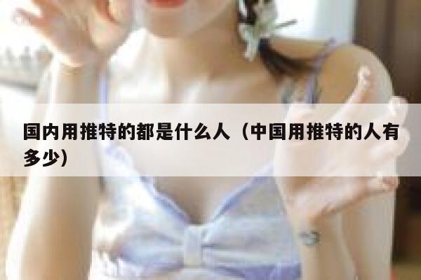 国内用推特的都是什么人（中国用推特的人有多少） 第1张