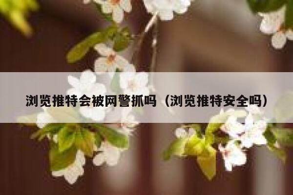 浏览推特会被网警抓吗（浏览推特安全吗） 第1张