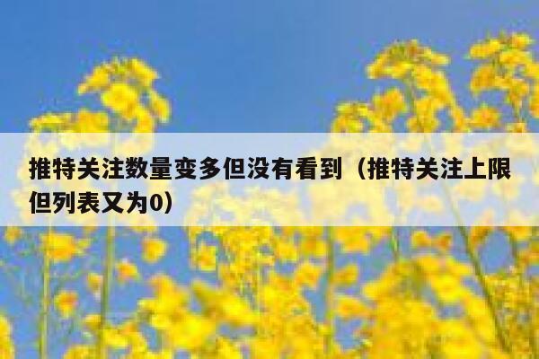 推特关注数量变多但没有看到（推特关注上限但列表又为0） 第1张