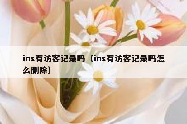ins有访客记录吗(ins有访客记录吗怎么删除) 第1张 ins有访客记录吗(ins有访客记录吗怎么删除) 第1张