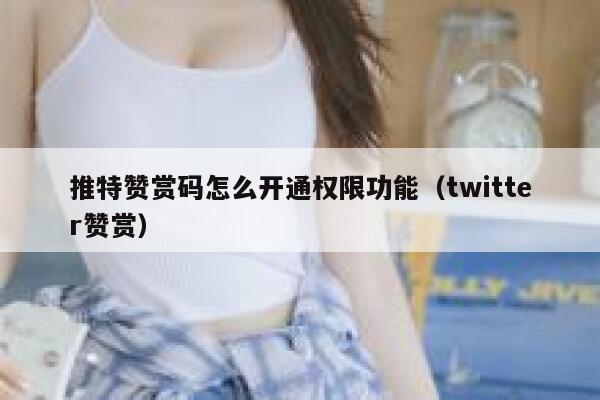 推特赞赏码怎么开通权限功能(twitter赞赏) 第1张 推特赞赏码怎么开通权限功能(twitter赞赏) 第1张