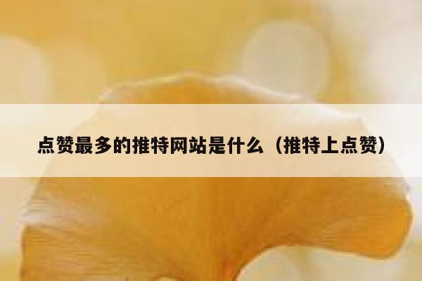 点赞最多的推特网站是什么(推特上点赞) 第1张 点赞最多的推特网站是什么(推特上点赞) 第1张