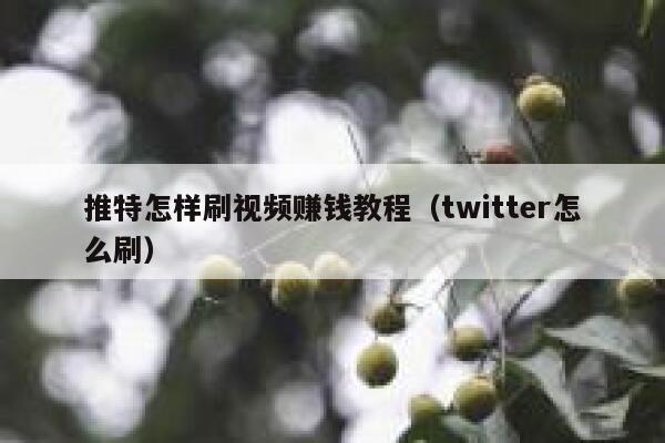 推特怎样刷视频赚钱教程(twitter怎么刷) 第1张 推特怎样刷视频赚钱教程(twitter怎么刷) 第1张