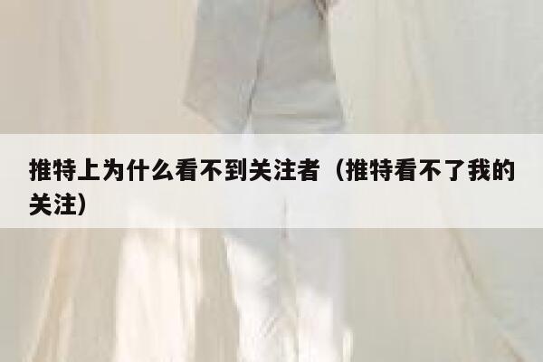 推特上为什么看不到关注者(推特看不了我的关注) 第1张 推特上为什么看不到关注者(推特看不了我的关注) 第1张