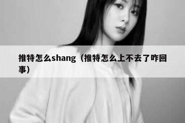 推特怎么shang(推特怎么上不去了咋回事) 第1张 推特怎么shang(推特怎么上不去了咋回事) 第1张