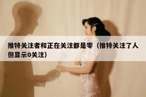 推特关注者和正在关注都是零(推特关注了人但显示0关注) 第1张 推特关注者和正在关注都是零(推特关注了人但显示0关注) 第1张