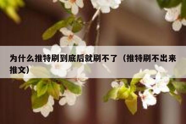 为什么推特刷到底后就刷不了（推特刷不出来推文） 第1张