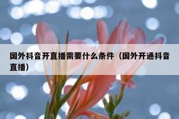国外抖音开直播需要什么条件(国外开通抖音直播) 第1张 国外抖音开直播需要什么条件(国外开通抖音直播) 第1张