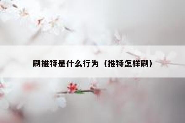 刷推特是什么行为（推特怎样刷） 第1张