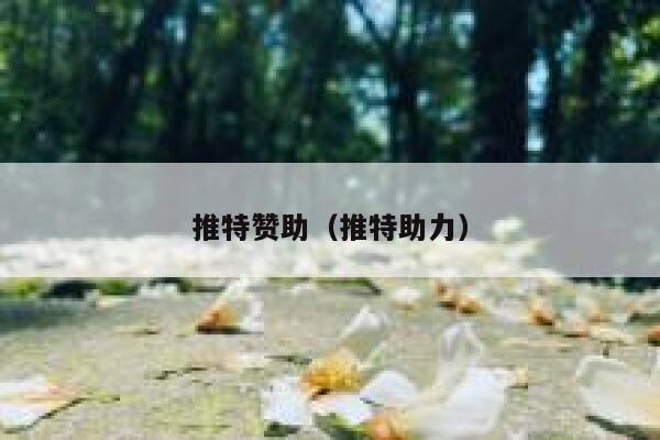 推特赞助（推特助力） 第1张