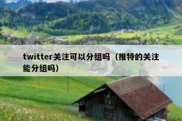 twitter关注可以分组吗（推特的关注能分组吗） 第1张