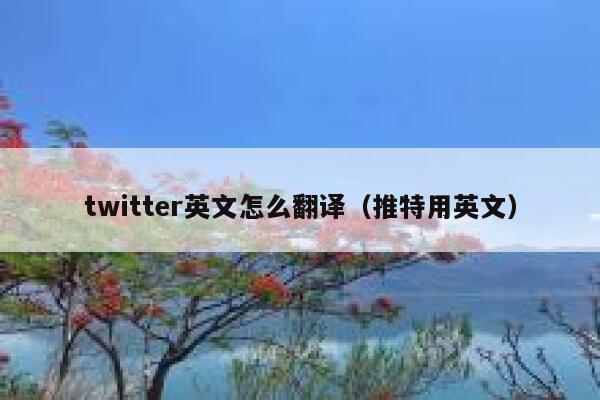 twitter英文怎么翻译（推特用英文） 第1张