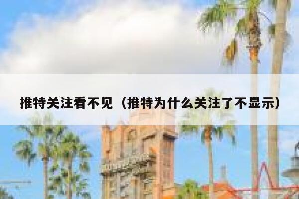 推特关注看不见（推特为什么关注了不显示） 第1张