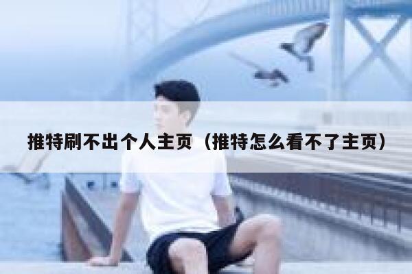 推特刷不出个人主页（推特怎么看不了主页） 第1张