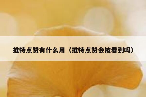 推特点赞有什么用（推特点赞会被看到吗） 第1张