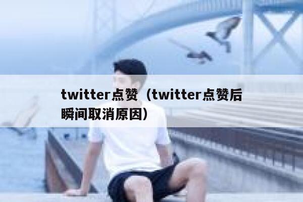 twitter点赞（twitter点赞后瞬间取消原因） 第1张