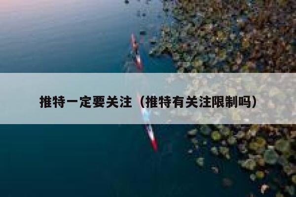 推特一定要关注（推特有关注限制吗） 第1张