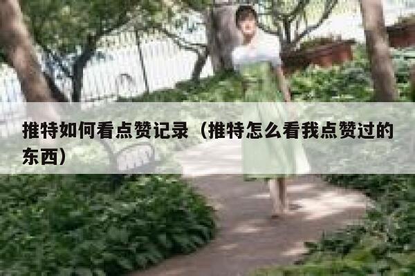 推特如何看点赞记录（推特怎么看我点赞过的东西） 第1张