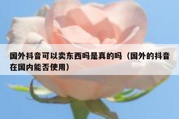 国外抖音可以卖东西吗是真的吗(国外的抖音在国内能否使用) 第1张 国外抖音可以卖东西吗是真的吗(国外的抖音在国内能否使用) 第1张