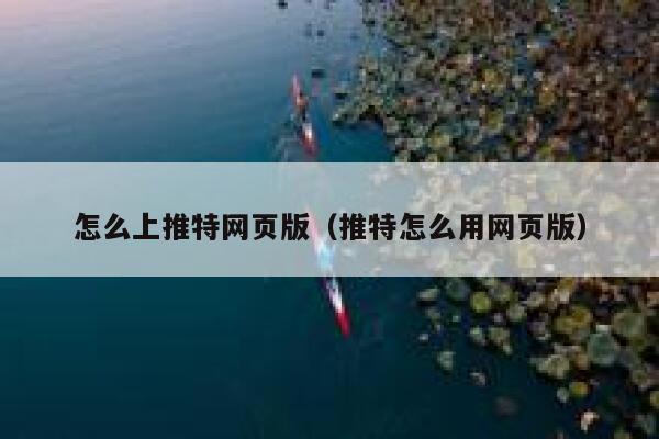 怎么上推特网页版(推特怎么用网页版) 第1张 怎么上推特网页版(推特怎么用网页版) 第1张