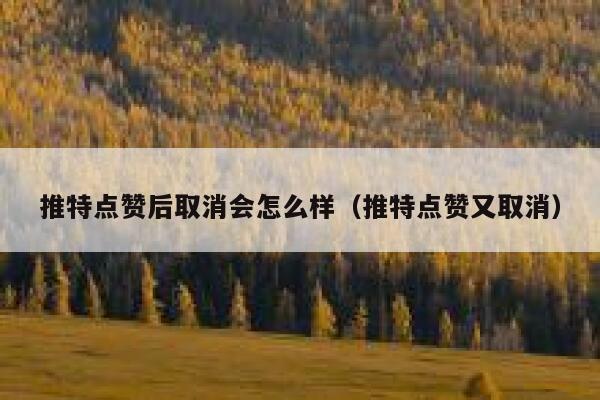 推特点赞后取消会怎么样(推特点赞又取消) 第1张 推特点赞后取消会怎么样(推特点赞又取消) 第1张