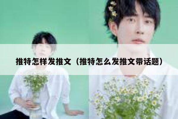 推特怎样发推文（推特怎么发推文带话题） 第1张