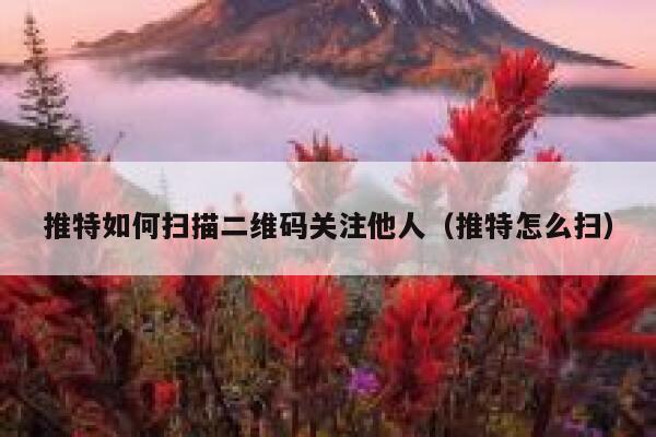 推特如何扫描二维码关注他人（推特怎么扫） 第1张