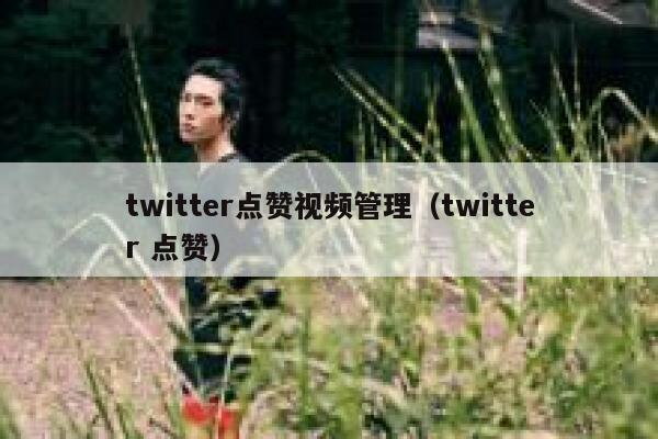 twitter点赞视频管理(twitter 点赞) 第1张 twitter点赞视频管理(twitter 点赞) 第1张