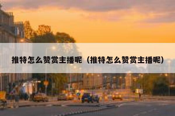 推特怎么赞赏主播呢(推特怎么赞赏主播呢) 第1张 推特怎么赞赏主播呢(推特怎么赞赏主播呢) 第1张