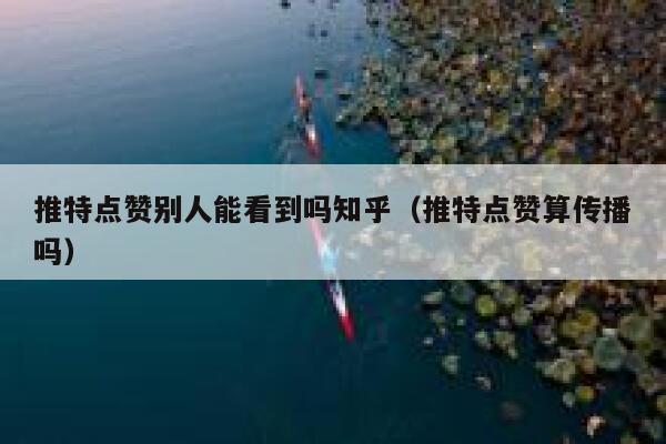 推特点赞别人能看到吗知乎(推特点赞算传播吗) 第1张 推特点赞别人能看到吗知乎(推特点赞算传播吗) 第1张